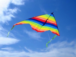 Cerf Volant Publicitaire